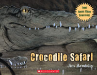 Crocodile Safari