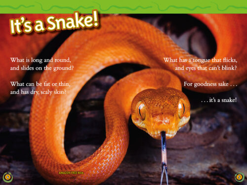 National Geographic Kids Readers: Snakes! by Melissa Stewart