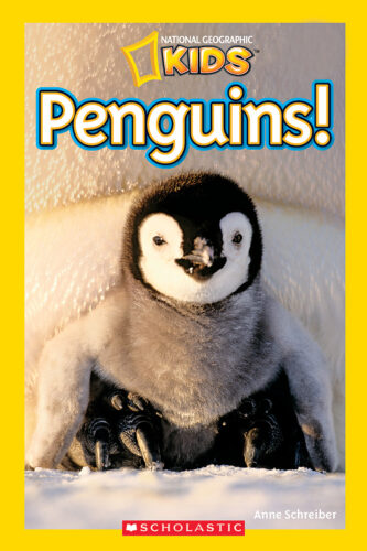 ●日本正規品● National Geographic Schreiber Anne by Penguins Readers: Kids 絵本・児童書