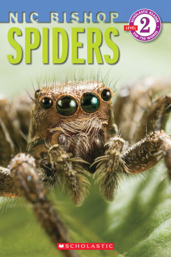 Scholastic Reader!® Level 2: Nic Bishop Spiders by Nic Bishop