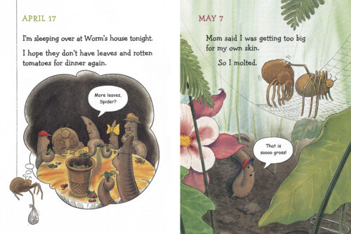 Diary Of A Spider by Doreen Cronin | Scholastic Education