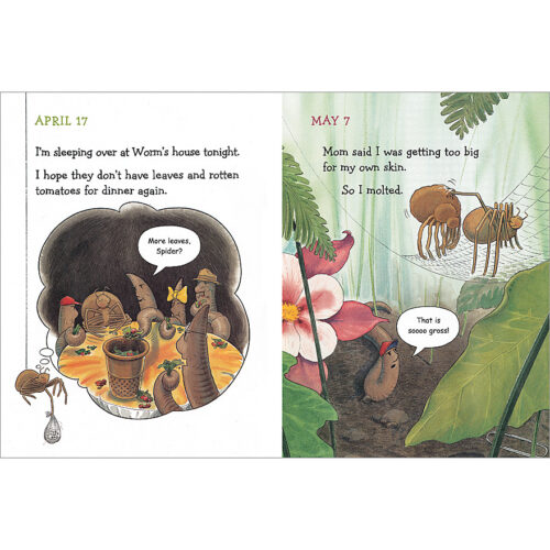 Diary Of A Spider by Doreen Cronin | Scholastic Education