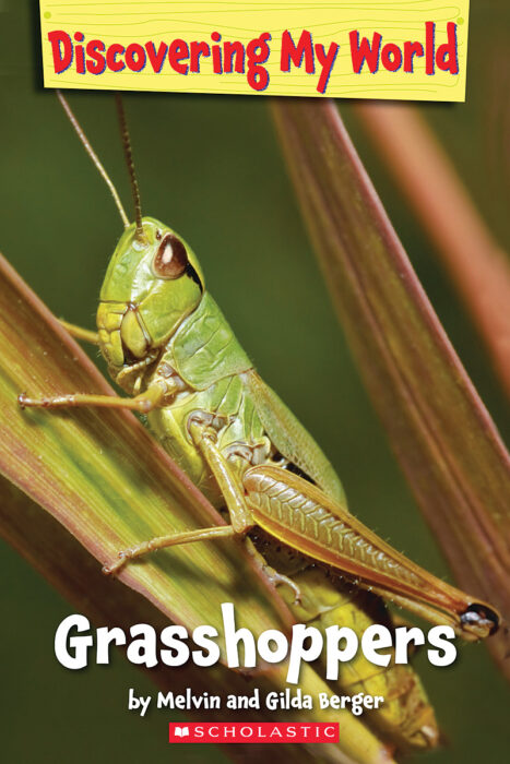 Discovering My World: Bugs: Grasshoppers