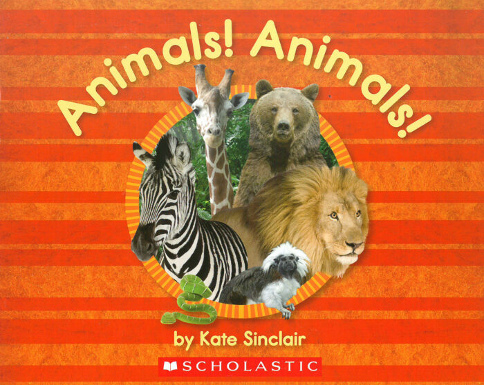 Animals! Animals!