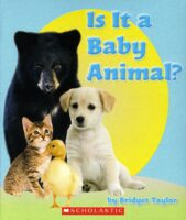 Is It a Baby Animal?