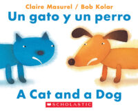 A Cat and a Dog / Un gato y un perro