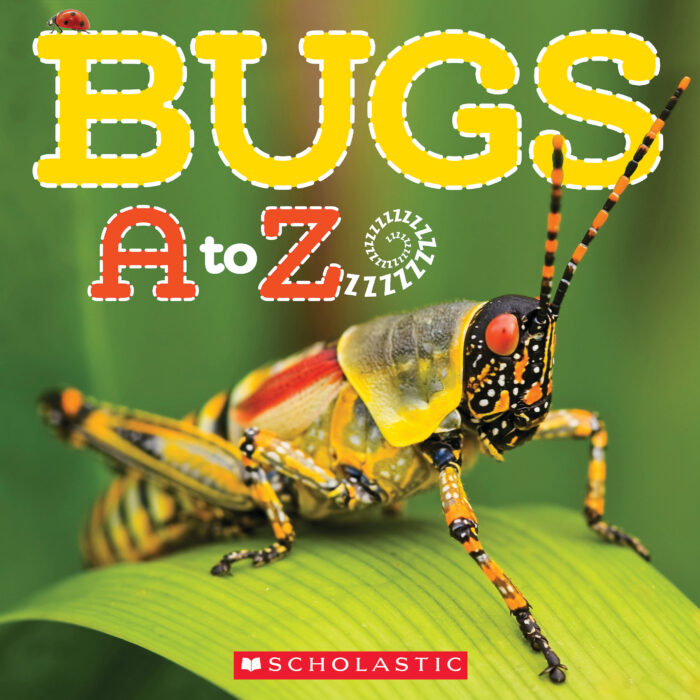 Bugs A to Z by Caroline Lawton Scholastic