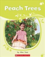 Peach Trees