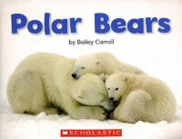 Polar Bears