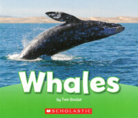 Whales