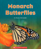 Monarch Butterflies