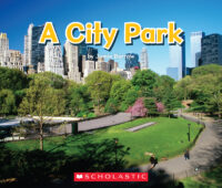 A City Park