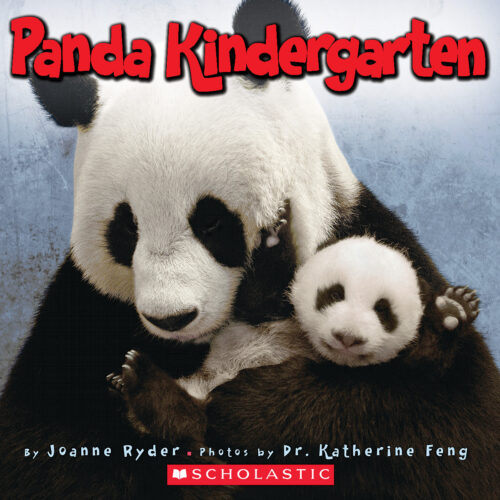 Panda Kindergarten by Joanne Ryder | Scholastic Education