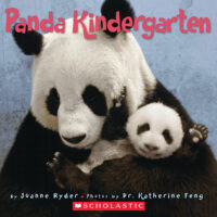 Panda Kindergarten