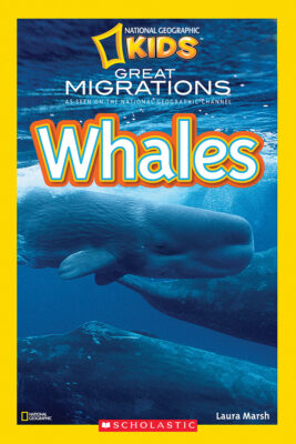 National Geographic Kids: Great Migrations: Whales