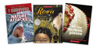 Ready-To-Go 2 75 Book Classroom Library, Grade 6