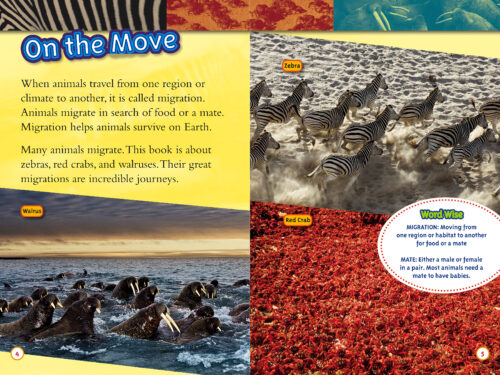 National Geographic Kids: Great Migrations: Amazing Animal Journeys by  Laura Marsh