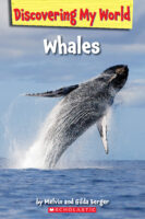 Discovering My World: Under the Sea: Whales