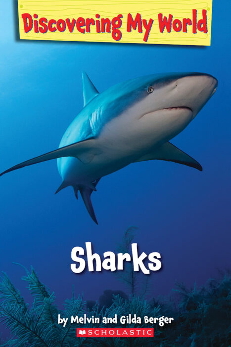 Discovering My World: Under the Sea: Sharks