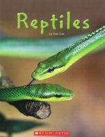 Reptiles