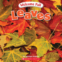 Welcome Fall: Leaves