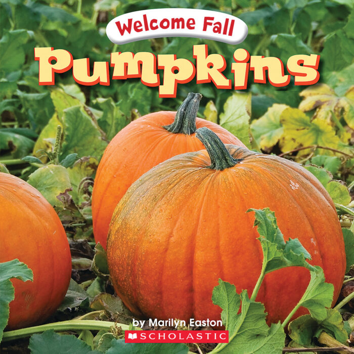 Welcome Fall: Pumpkins