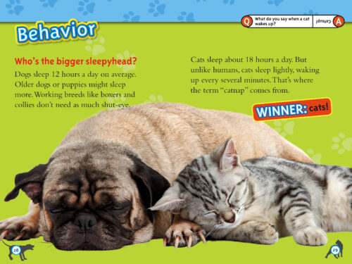 National Geographic Kids Readers: Cats vs. Dogs by Elizabeth Carney | The  Scholastic Teacher Store