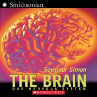 The Brain