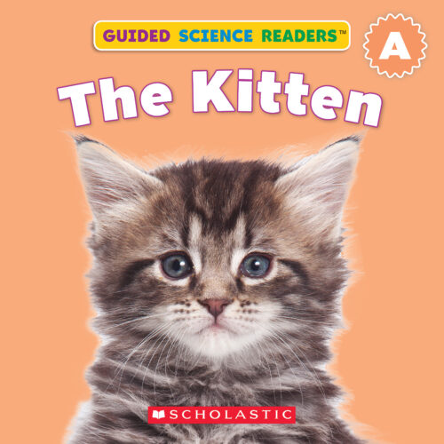 Guided Science Readers Animals Level A The Kitten by Liza Charlesworth Scholastic Education