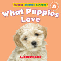 What Puppies Love