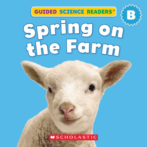 On The Farm: A Sparkle Board Book: 9780755452378 - AbeBooks