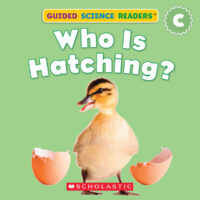 Who is Hatching?
