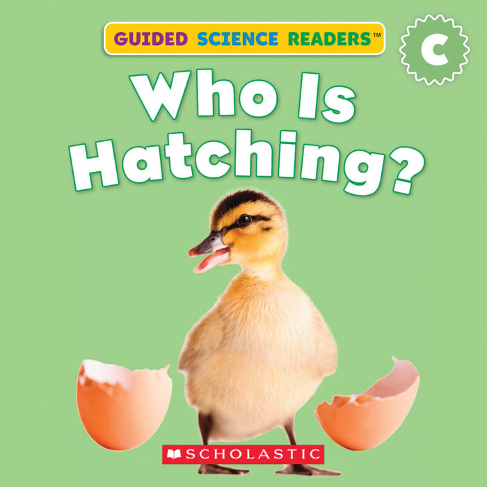 Who is Hatching?