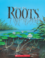 What Do Roots Do?