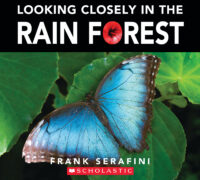 Looking Closely in the Rain Forest