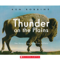 Thunder on the Plains