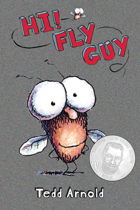 Hi Fly Guy By Tedd Arnold