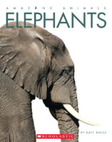 Amazing Animals: Elephants