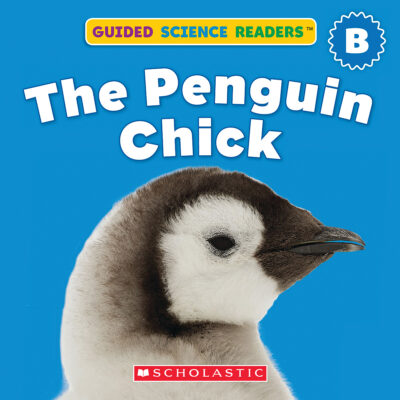 Guided Science Readers: Seasons-Level B: The Penguin Chick