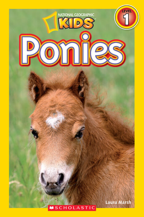 Ponies by Laura Marsh | Scholastic