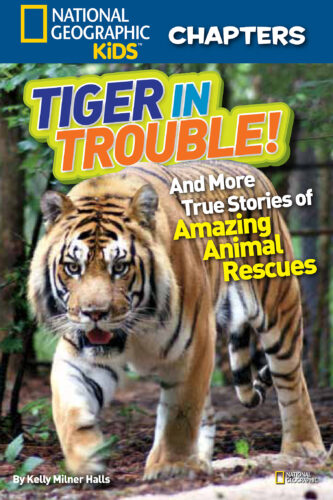 National Geographic Kids: Chapters: Tiger in Trouble! by Kelly