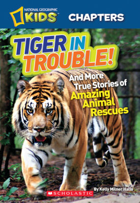 National Geographic Kids: Chapters: Tiger in Trouble!