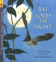 Bat Loves the Night