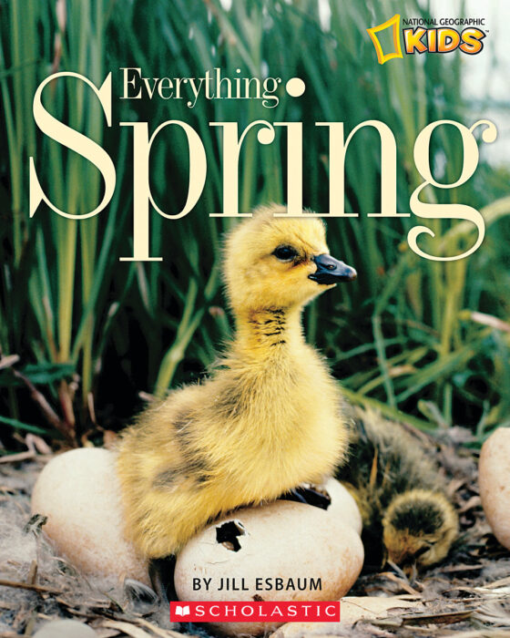 National Geographic KidsEverything Everything Spring by Jill Esbaum