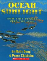 Ocean Sunlight