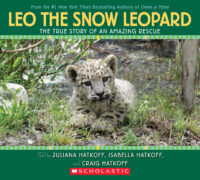 Leo the Snow Leopard