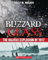 Blizzard of Glass