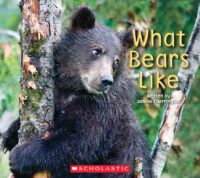 What Bears Like