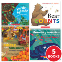 My Books Summer Grade PreK Beginning Concepts Pack 5-Book Pack
