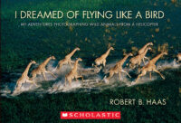 National Geographic: I Dreamed of Flying Like a Bird